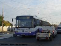 Imagine atasata: Stefan cel Mare - 2014.10.29 - 18.jpg